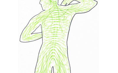 NEURAL FLEXIBILITY©