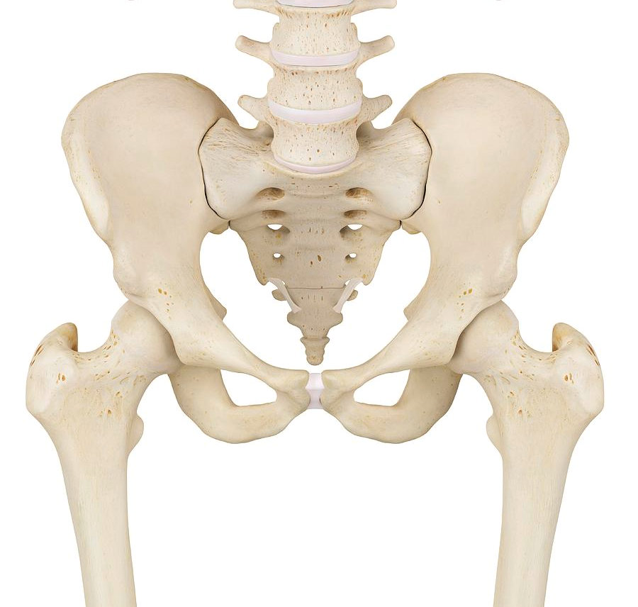 PELVIC POWER – Synergy Sports Medicine & Rehabilitation