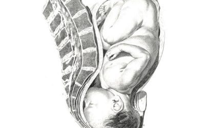 PREGNANCY & POSTPARTUM BACK CARE