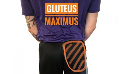 THE BUTT BASICS: GLUTEUS MAXIMUS