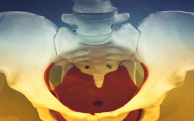 So what is the Pelvic Floor?