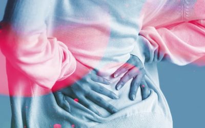 A Map to Your Back Pain