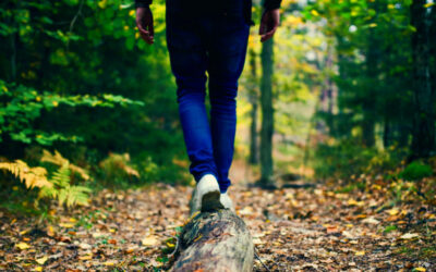 Finding Your Balance